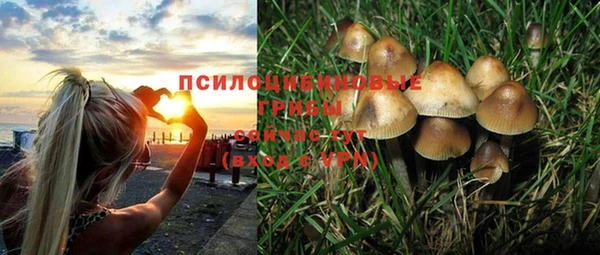 Альфа ПВП Бронницы