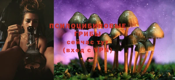 эйфоретик Бугульма