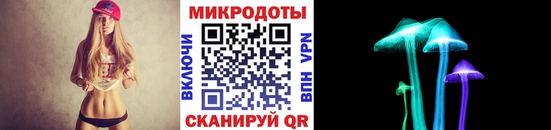 Псилоцибиновые грибы Psilocybe Высоковск